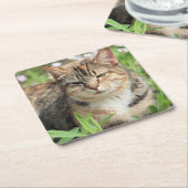 猫 スクエアペーパーコースター (アングル)