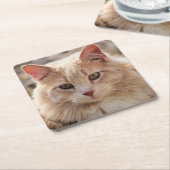 猫 スクエアペーパーコースター (アングル)