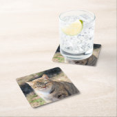 猫 スクエアペーパーコースター (インサイチュ)