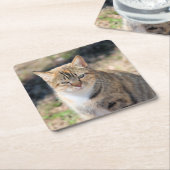 猫 スクエアペーパーコースター (アングル)