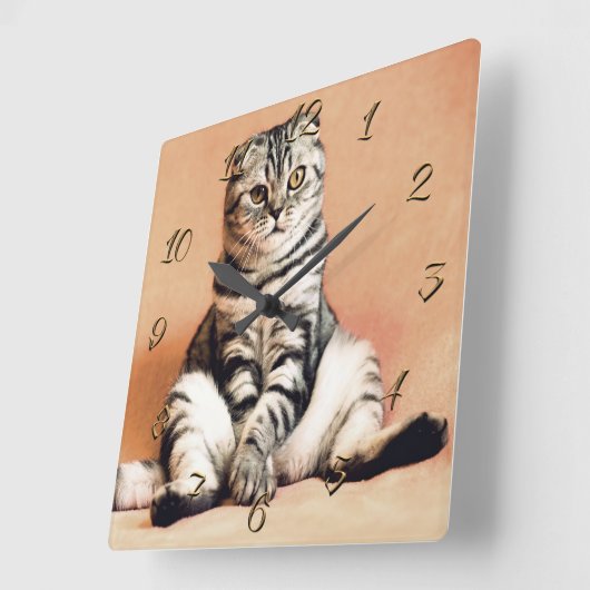 猫 スクエア壁時計 (傾斜)