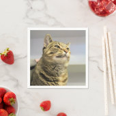 猫 スタンダードカクテルナプキン (インサイチュ)