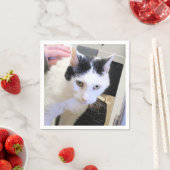 猫 スタンダードカクテルナプキン (インサイチュ)