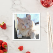猫 スタンダードカクテルナプキン (インサイチュ)