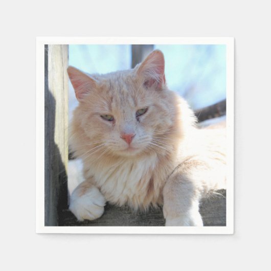 猫 スタンダードカクテルナプキン (正面)