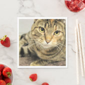 猫 スタンダードランチョンナプキン (インサイチュ)