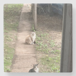 猫 ストーンコースター