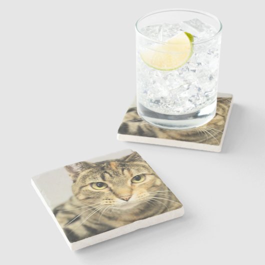 猫 ストーンコースター (横)