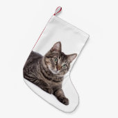 猫 スモールクリスマスストッキング (正面 (吊り時))