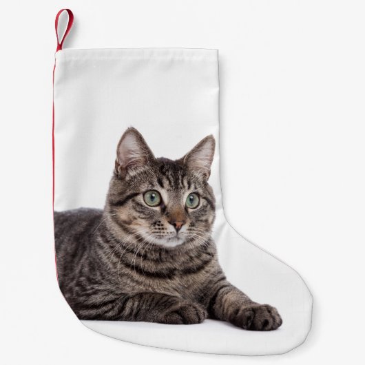 猫 スモールクリスマスストッキング (正面)