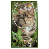 猫 スモールペーパーバッグ (裏面)