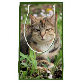 猫 スモールペーパーバッグ (正面)