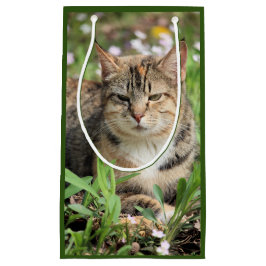 猫 スモールペーパーバッグ