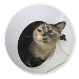 猫 セラミックノブ