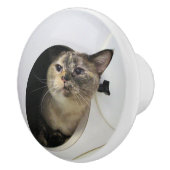 猫 セラミックノブ (右)