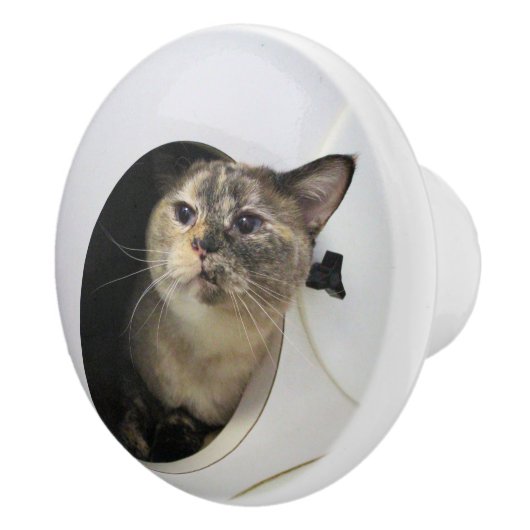 猫 セラミックノブ (右)