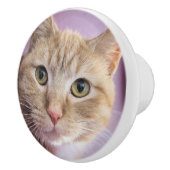 猫 セラミックノブ (右)