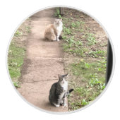 猫 セラミックノブ (正面)