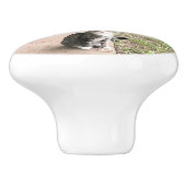 猫 セラミックノブ (側面)