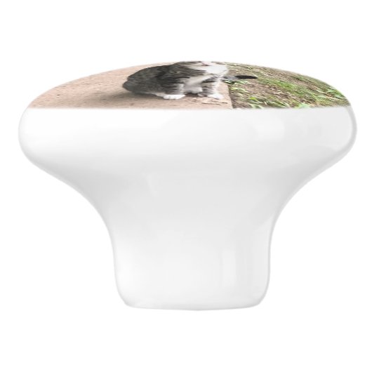猫 セラミックノブ (側面)