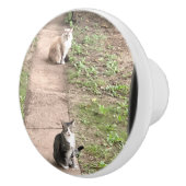 猫 セラミックノブ (右)