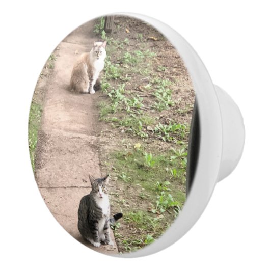 猫 セラミックノブ (右)