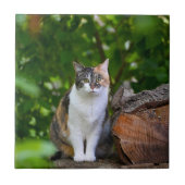 猫 タイル (正面)