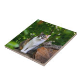 猫 タイル (側面)