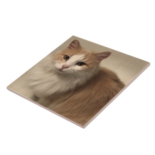 猫 タイル (側面)