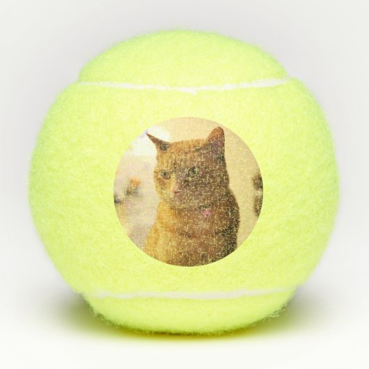 猫 テニスボール (正面)