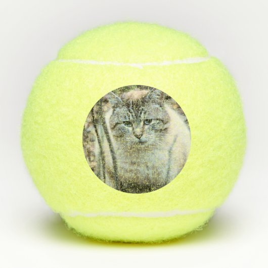 猫 テニスボール (正面)