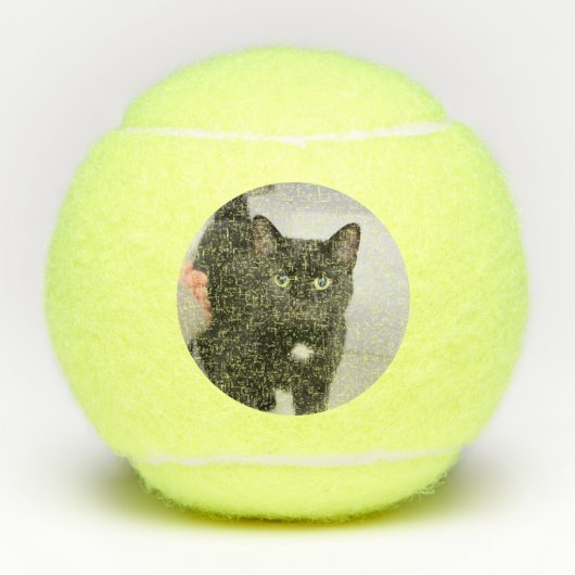 猫 テニスボール (正面)