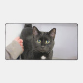 猫 デスクマット (正面)