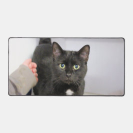 猫 デスクマット