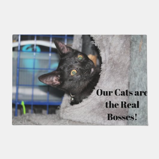 猫 ドアマット (正面)