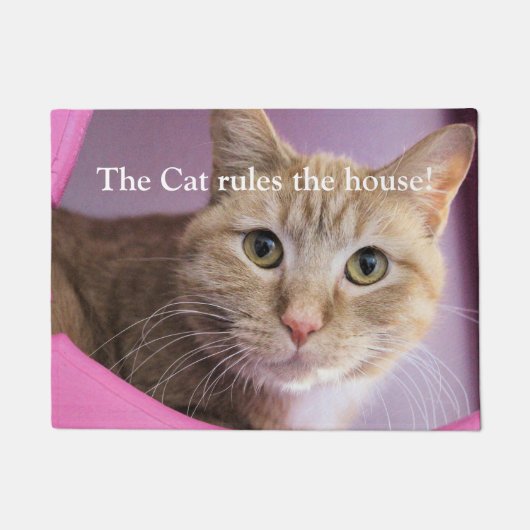 猫 ドアマット (正面)