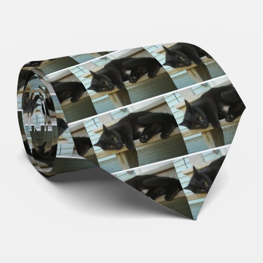 猫 ネクタイ (ロール)