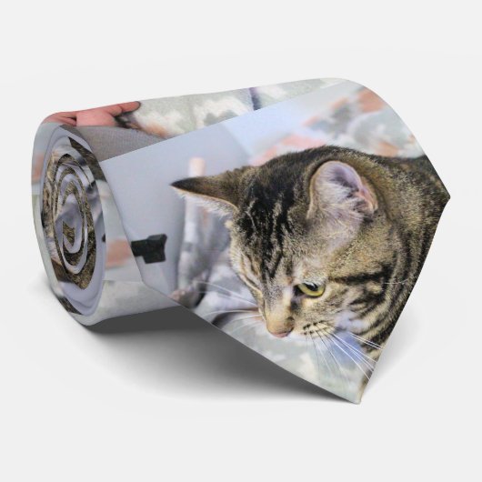 猫 ネクタイ (ロール)