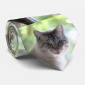 猫 ネクタイ (ロール)