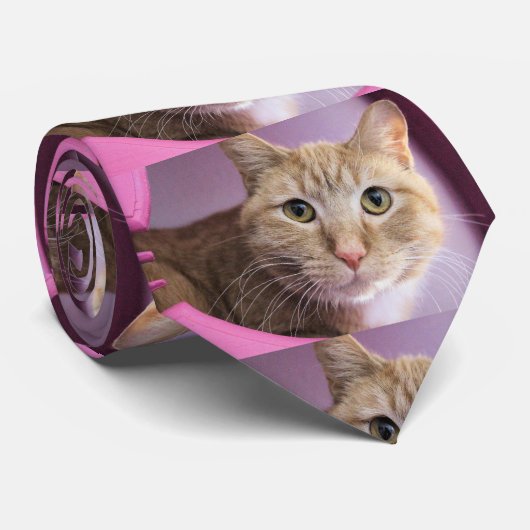 猫 ネクタイ (ロール)