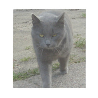 猫 ノートパッド