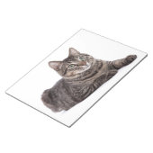 猫 ノートパッド (アングル)