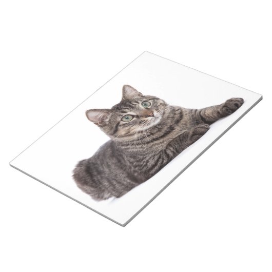 猫 ノートパッド (アングル)