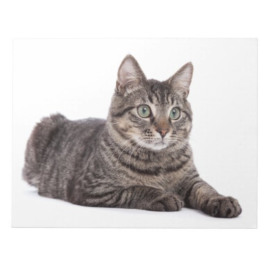 猫 ノートパッド (正面)