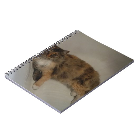 猫 ノートブック (左側)