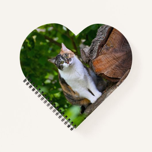 猫 ノートブック (正面)