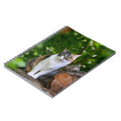 猫 ノートブック (左側)