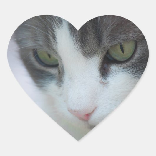 猫 ハートシール (正面)