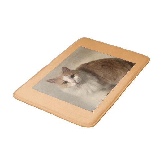 猫 バスマット (アングル)