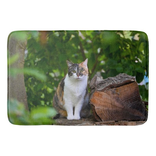 猫 バスマット (正面)